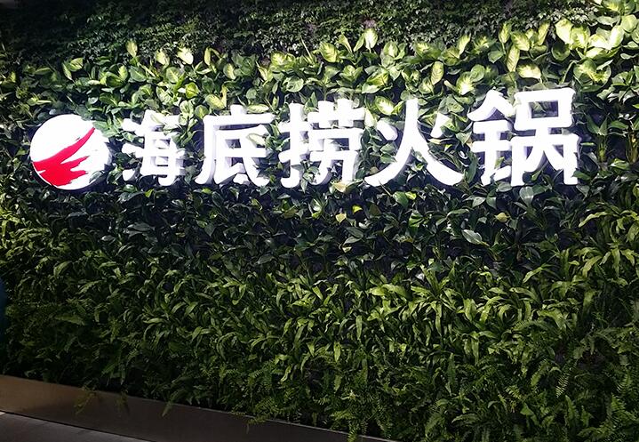 海底捞火锅植物墙发光字